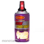 Burgari Engine Condition Foam