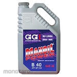 GGI MAXOIL Mobil Diesel
