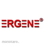 ERGENE Motorcycle Injection Cleaner (Pembersih Injektor)