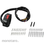 Daytona Collective Switch