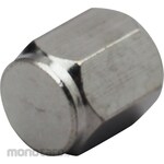 TIPTOP Valve Cap Silver