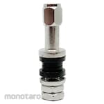Non Brand Straight Air Valve Long Iron Tubeless Tire Valve (Pentil Ban)