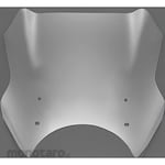 Daytona Blast Barrier X Visor Flea Clear