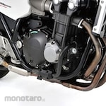 Daytona Pipe Engine Guard