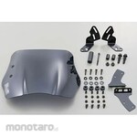 Daytona Windshield SS Car Model Kit Address V 125S