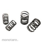 Daytona Air Intake System Valve SPG/HP Head Monkey (Sistem Intake Motor)