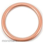 NTB Exhaust Gasket