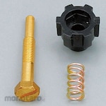 Daytona Idling Screw