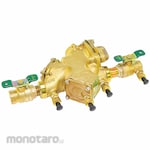 WATTS Pressure Safety Relief Valve Prventer