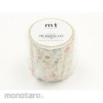 cotta mt Morris&Co. Mary Isobel