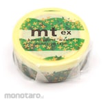 cotta mt ex Osmanthus