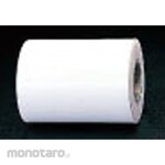 ESCO 300X0.10mm Fluorine Resin Film