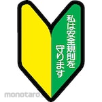 Unit Helmet Stickers