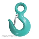 Wipro Eye Hoist Hook with Latch