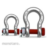 ALDO Shackle Omega Bolt