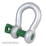 VAN BEEST Green Pin Shackle G-4161