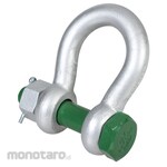 VAN BEEST Green Pin Shackle G-4163