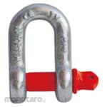 Felix Lifting Shackle Omega G210 (Segel D)