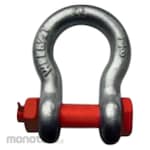 Felix Lifting Shackle Omega G2130 (Segel Omega)