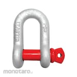 POWERTEC Screw Pin Shackle D G-210 (Segel D)