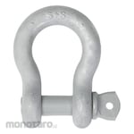Safe+Save Screw Pin Shackle (Segel Omega)