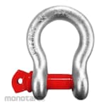 Will Bow Shackle G-209 (Segel Omega)