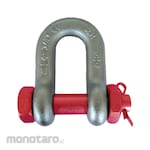 Wipro Dee Shackle Lurus (Segel D)