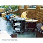 ERECTA Executive Service Cart