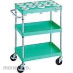 TRUSCO Phoenix Wagon 600x400 (Young Green)