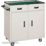 TRUSCO Tool Wagon (with drawer, hinged door)