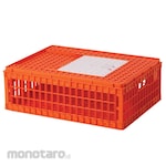 Rabbit Keranjang Plastik Unggas (Storage Basket)