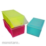 Lucky Star Storage Bin for Shoes