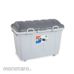 Green Leaf Container Box Fairy (Kontainer)