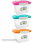 Green Leaf Container Box NICOLE Box (Kontainer)