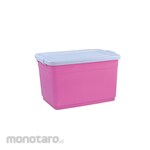 Maspion Giga Container