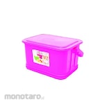 SL Plastic Container Box Fancy
