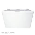 CQS Fish Plain Styrofoam GG Box (Kotak Styrofoam)