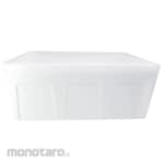 CQS Styrofoam Box AG Series (Kotak Styrofoam)