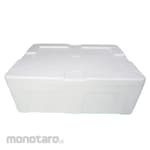 CQS Styrofoam Box B Series (Kotak Styrofoam)
