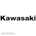 Kawasaki Lever Block