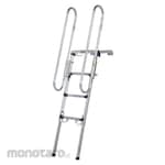 Pica Ladder with Hand Frame