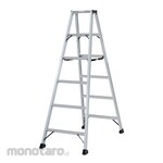 Pica Stepladder