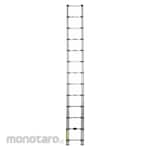 XTEND + CLIMB Telescoping Ladder