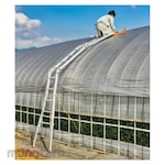HARAX greenhouse ladder