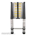 Dalton Single Aluminium Telescopic Ladder
