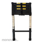 Triple S Single Telescopic Ladder