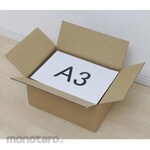 ESCO A3 cardboard (single)