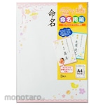 MARUAI IJ Naming Form