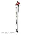 DAYTON Air Chain Hoist