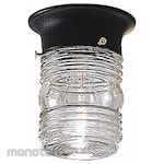 PROGRESS LIGHTING Standard Canopy Light